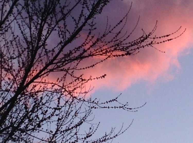 Sunset, warmth, photo101, MeyerClarkStudio, photography, Michigan artist